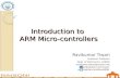 ARM Micro-controller