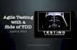 Agile Testing with a Side of TDD (TCCC16)