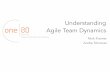 Understanding agile team dynamics