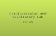 Circulatory Respiratory Lab