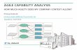 Agile Capability Analysis - How much agility does my company context allow?