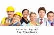External equity -  pay structures - Manu Melwin Joy