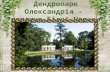 Дендропарк Олександрія – перлина України