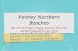 Painter Northern Beaches