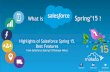 Salesforce Spring 15  Release Notes  Highlights , best features