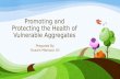 Promoting and protecting the health of vulnerable aggregates