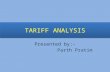 basic economics-tariff analysis