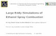 “Large Eddy Simulations of Ethanol Spray Combustion”. Flavio Galeazzo – EP/USP.