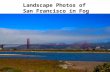 Landscape photos of san francisco in fog