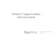 Poland IT market internal review