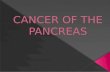 Cancer of the Pancreas