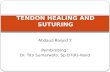 tendon Healing and Suturing