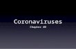 15 Chapter 41 Coronaviruses