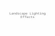 Landscape Lighting Effects