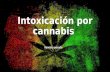 Intoxicación por cannabis.pptx