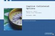 Captive Insurance Collateral Options
