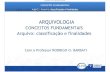 Material de Apoio - Arquivologia - Rodrigo Barbati - Arquivo Classificação e Finalidades.pdf