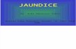 infeksi Jaundice dan penatalaksanaan