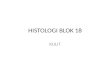 Histologi Blok 18 - Kulit