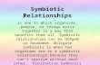 Symbiotic Relationships.pptx