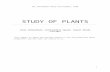 Study of Plants