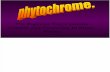 Phytochrome Lecture