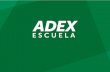 Comercio Exterior Peruano - ADEX