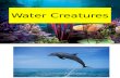 Water Creatures- BI y3