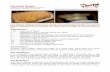 Bob Levin's Focaccia Bread Recipe!