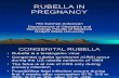 Rubella in Pregnancy