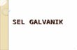 3- SEL GALVANIK (4)