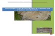 Informe estratigrafia - huanuco