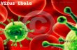 Virus Ebola.pptx by Firmansyah