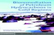 Bioremediation in Petroleum Hidrocarbon