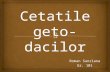 Cetatile Geto Dacilor