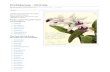 Theplantencyclopedia.org Orchidaceae Orchids