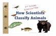biodiversity how scientists classify animals.pdf