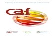 CAF ExternalFeedback2013web