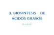 3 -Biosintesis de Acidos Grasos