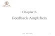 chapter_6 Feedback(IT version).ppt