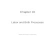 Chapter 16: Labor and Birth