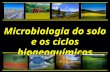 Aula 9 Microbiologia Do Solo - Microbiota Do Solo, Ciclos Biogeoquimicos 2011.1