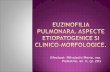 Euzinofilia pulmonara