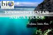 Biomas - Ecossistemas Aquáticos