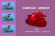 Cardiac Arrest 1