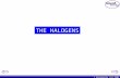 C3 Patterns of Behaviour - The Halogens