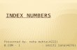 INDEX NUMBERS (Statistics Project )