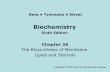 Biochemistry6e Ch26 Psl Apr2014