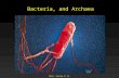 Prokaryotes and Archaea