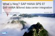 HANA SPS07 NEW Tailored Datacenter Integration